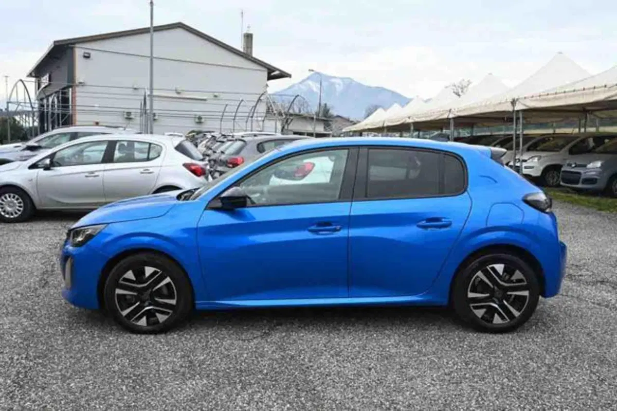Peugeot 208 usata a Torino (19)