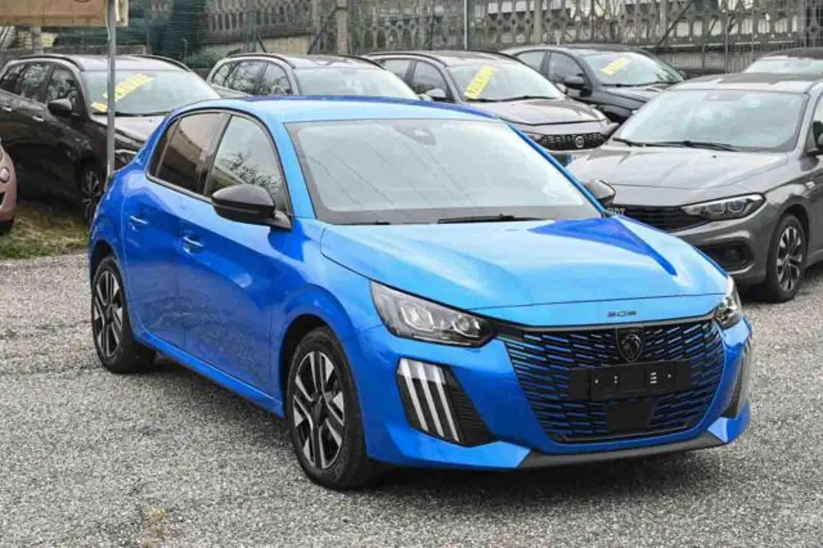 Peugeot 208 usata a Torino (2)