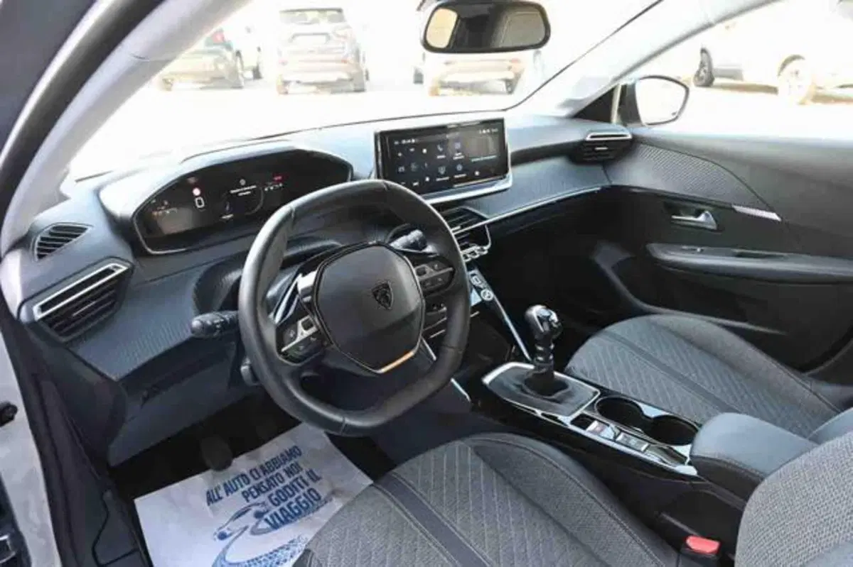 Peugeot 208 usata a Torino (11)
