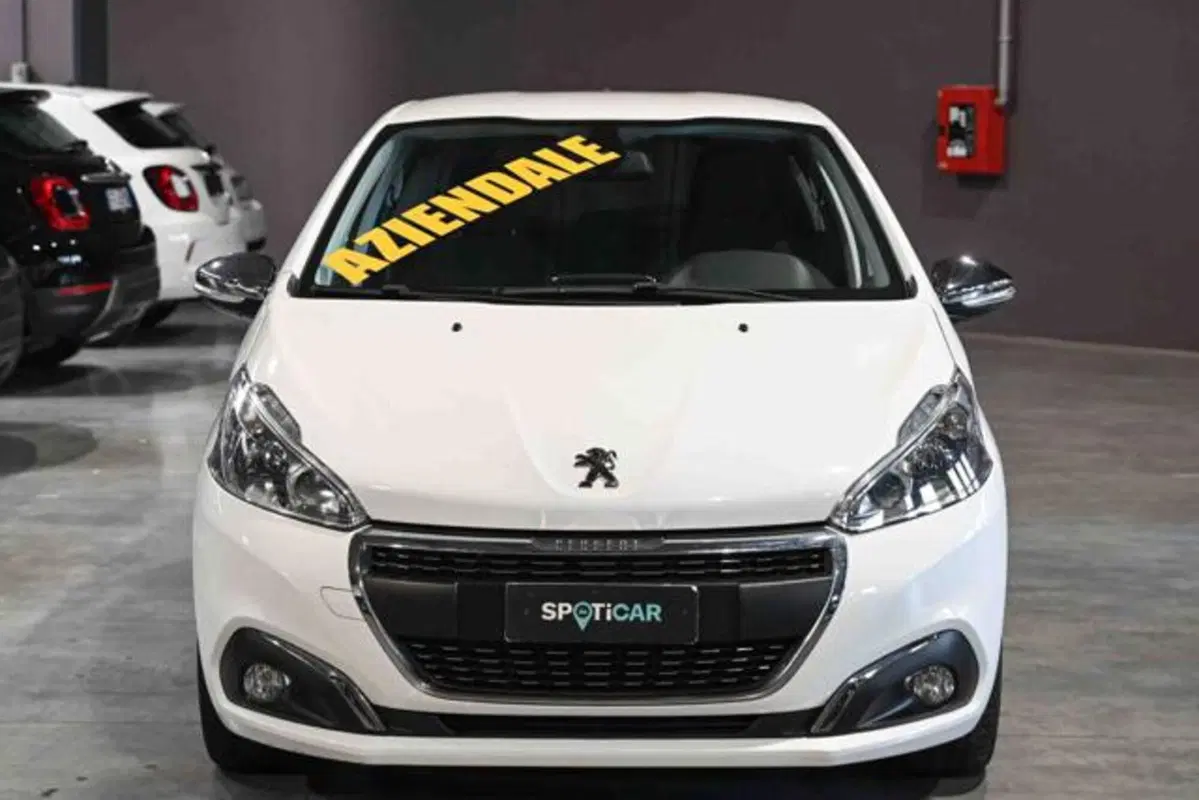 Peugeot 208 usata a Torino (2)