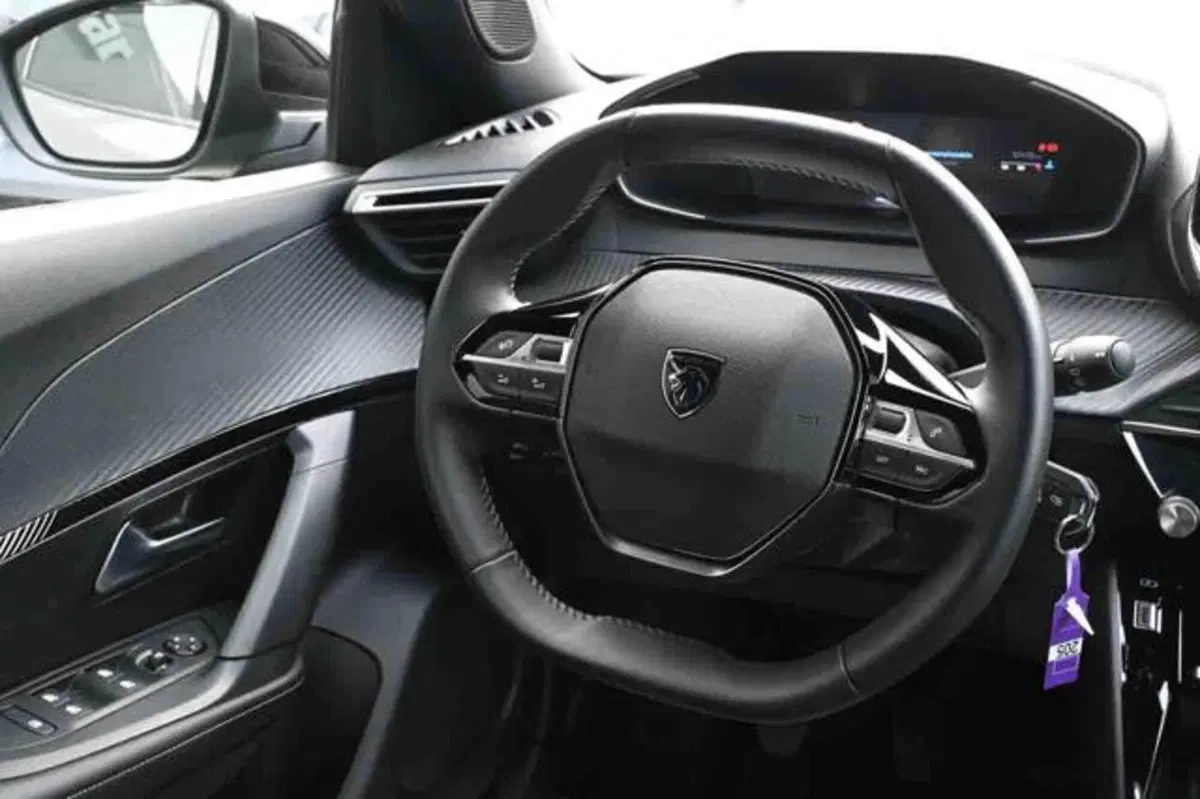 Peugeot 2008 usata a Torino (12)