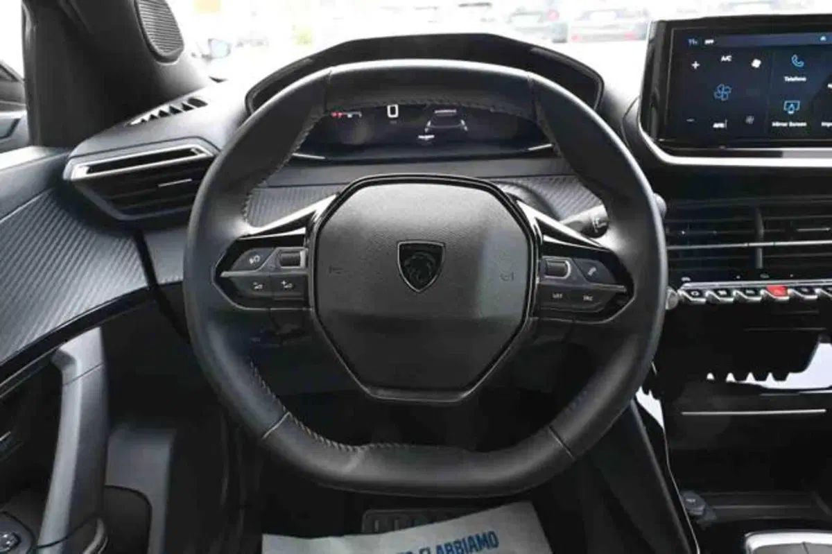 Peugeot 2008 usata a Torino (16)