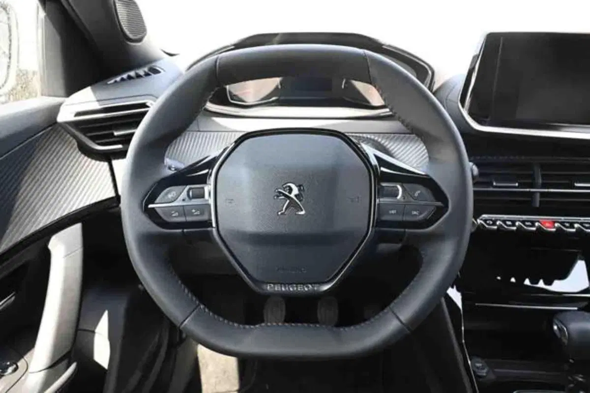 Peugeot 2008 nuova a Torino (19)