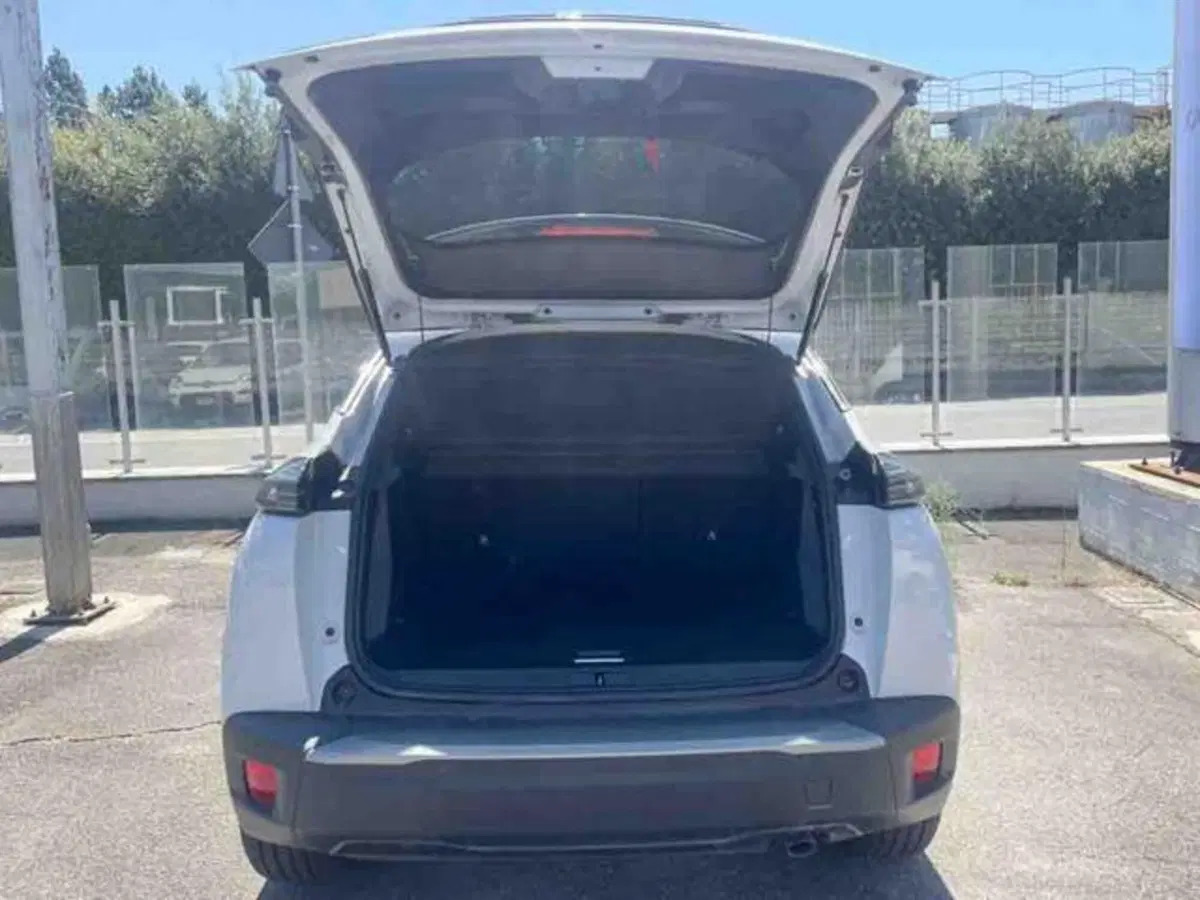 Peugeot 2008 usata a Torino (5)