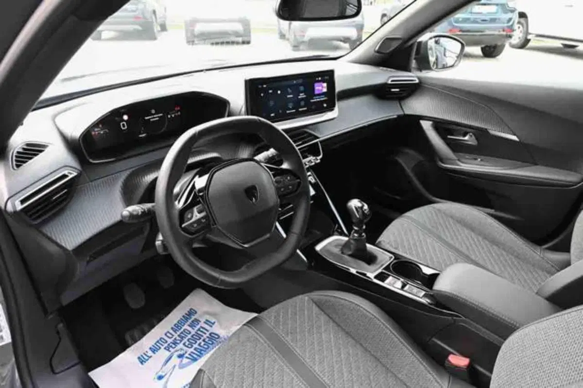 Peugeot 2008 usata a Torino (8)