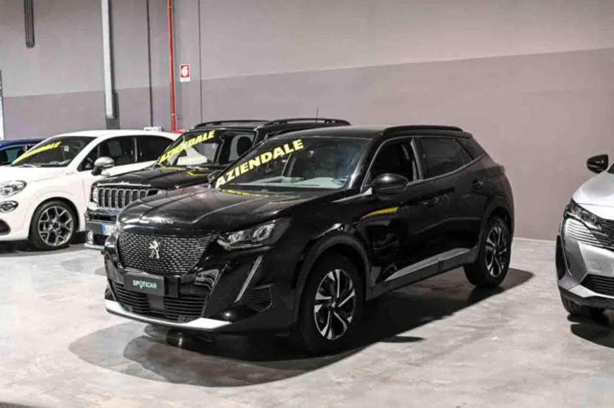 Peugeot 2008 usata a Torino