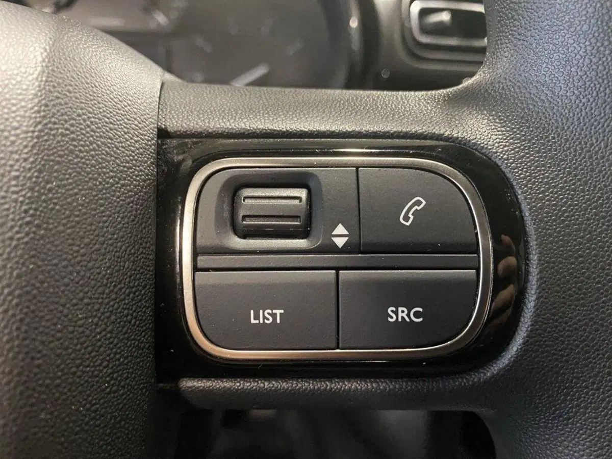 Citroen C3 usata a Torino (14)