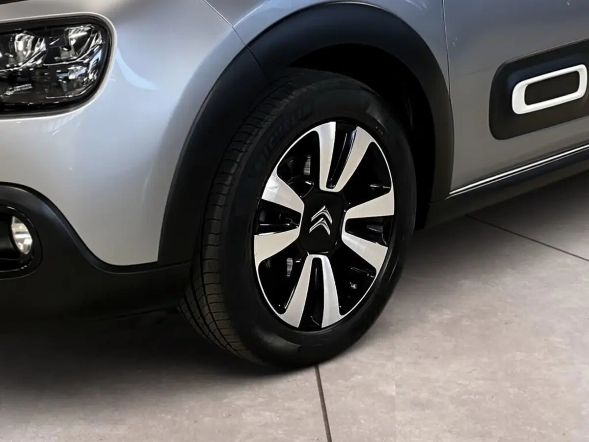 Citroen C3 usata a Torino (15)