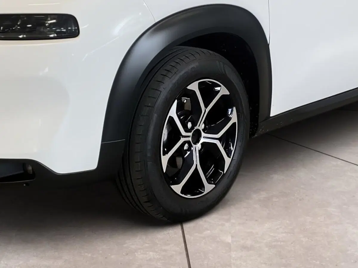 Citroen C3 Aircross usata a Torino (15)