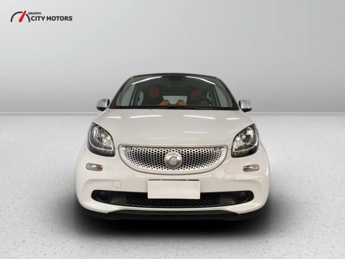 smart forfour usata a Monza e Brianza (2)