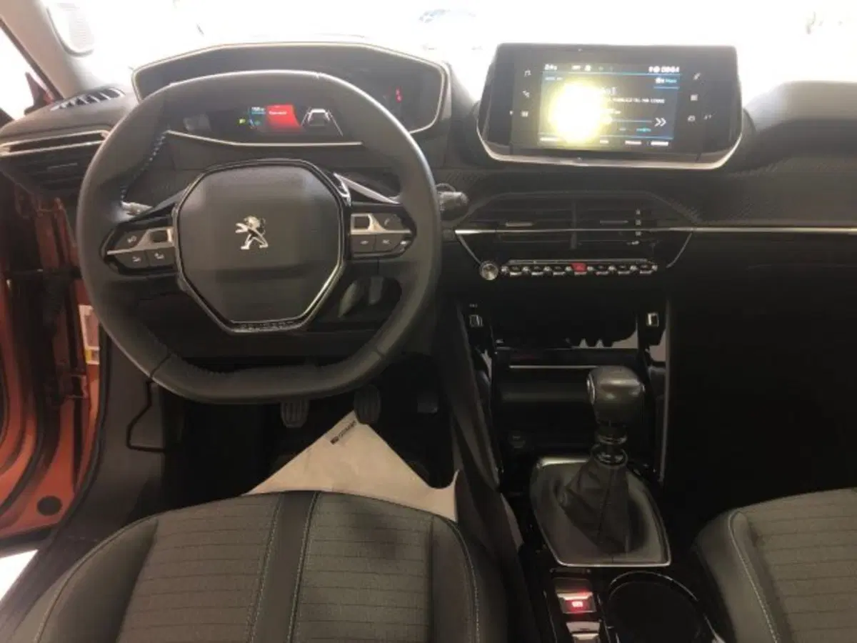 Peugeot 2008 usata a Torino (12)