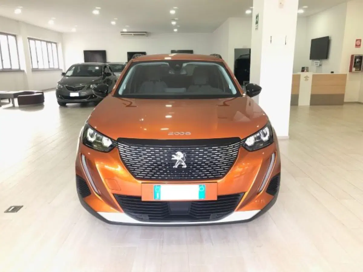 Peugeot 2008 usata a Torino (2)