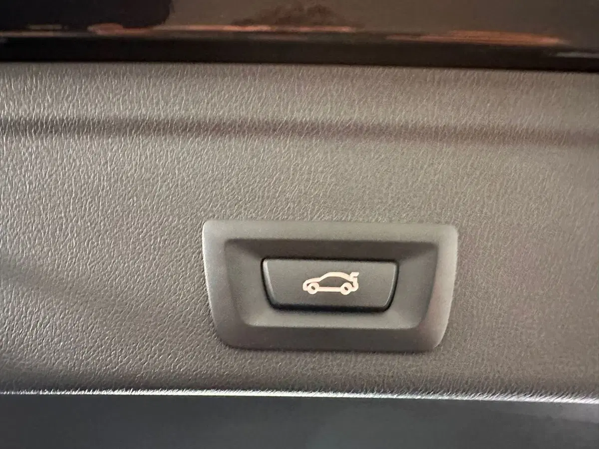 BMW X6 usata a Cuneo (20)