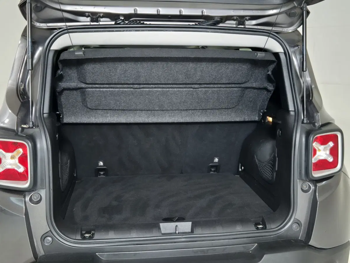 Jeep Renegade usata a Torino (13)