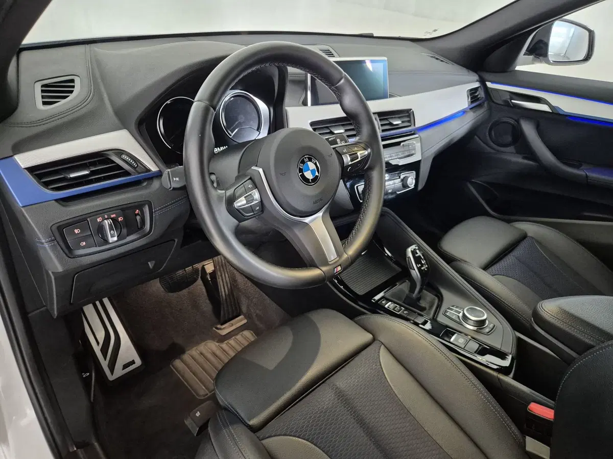 BMW X2 usata a Torino (7)