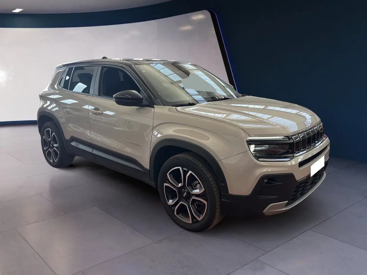 Jeep Avenger usata a Torino (2)