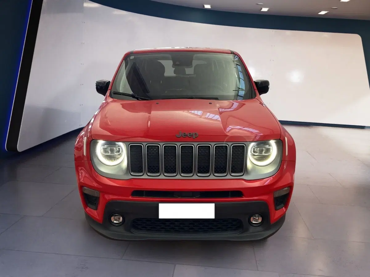 Jeep Renegade usata a Torino