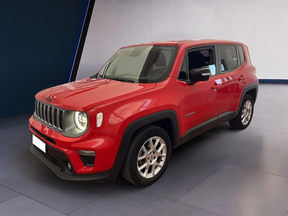 Jeep Renegade usata a Torino (2)