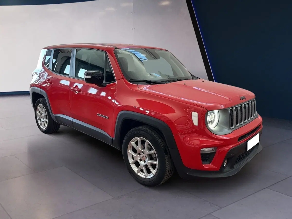Jeep Renegade usata a Torino (3)