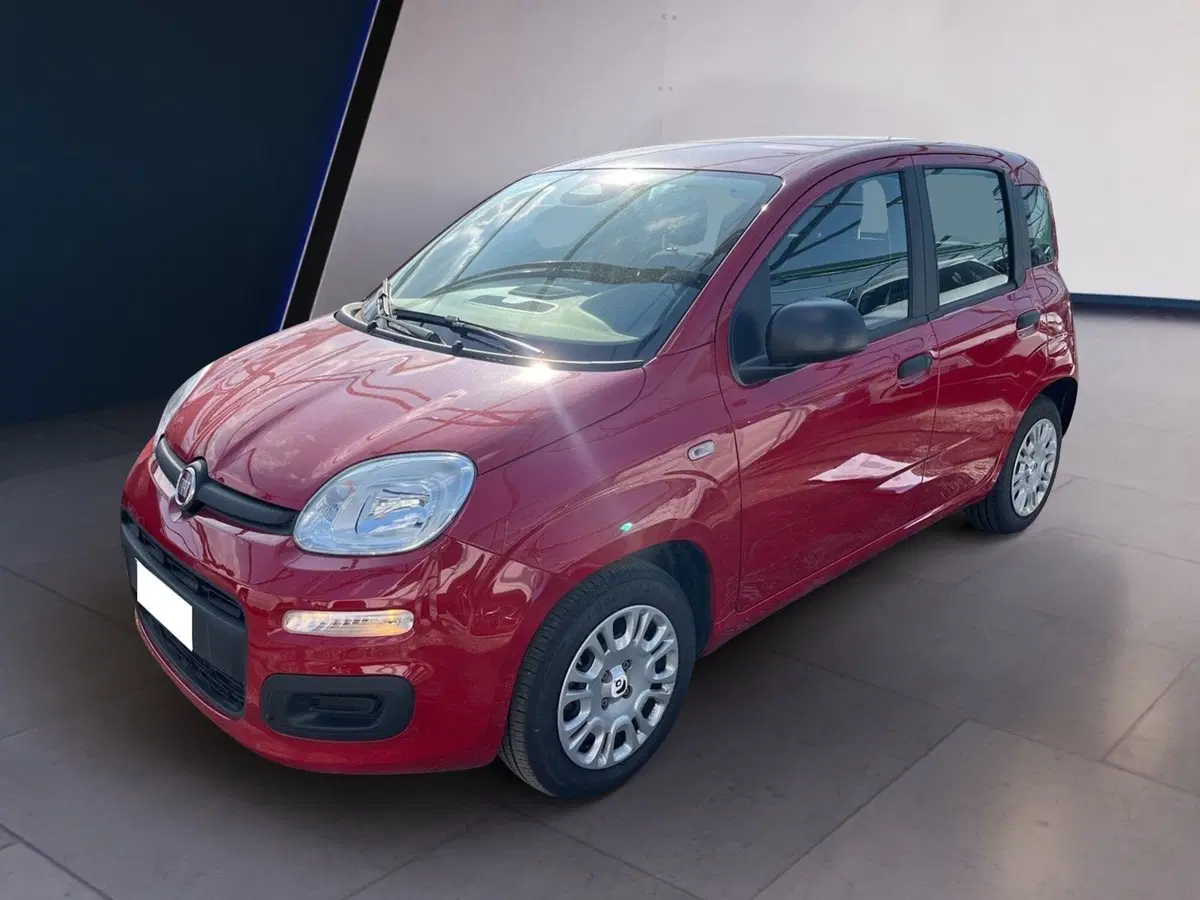 Fiat Pandina usata a Torino (2)