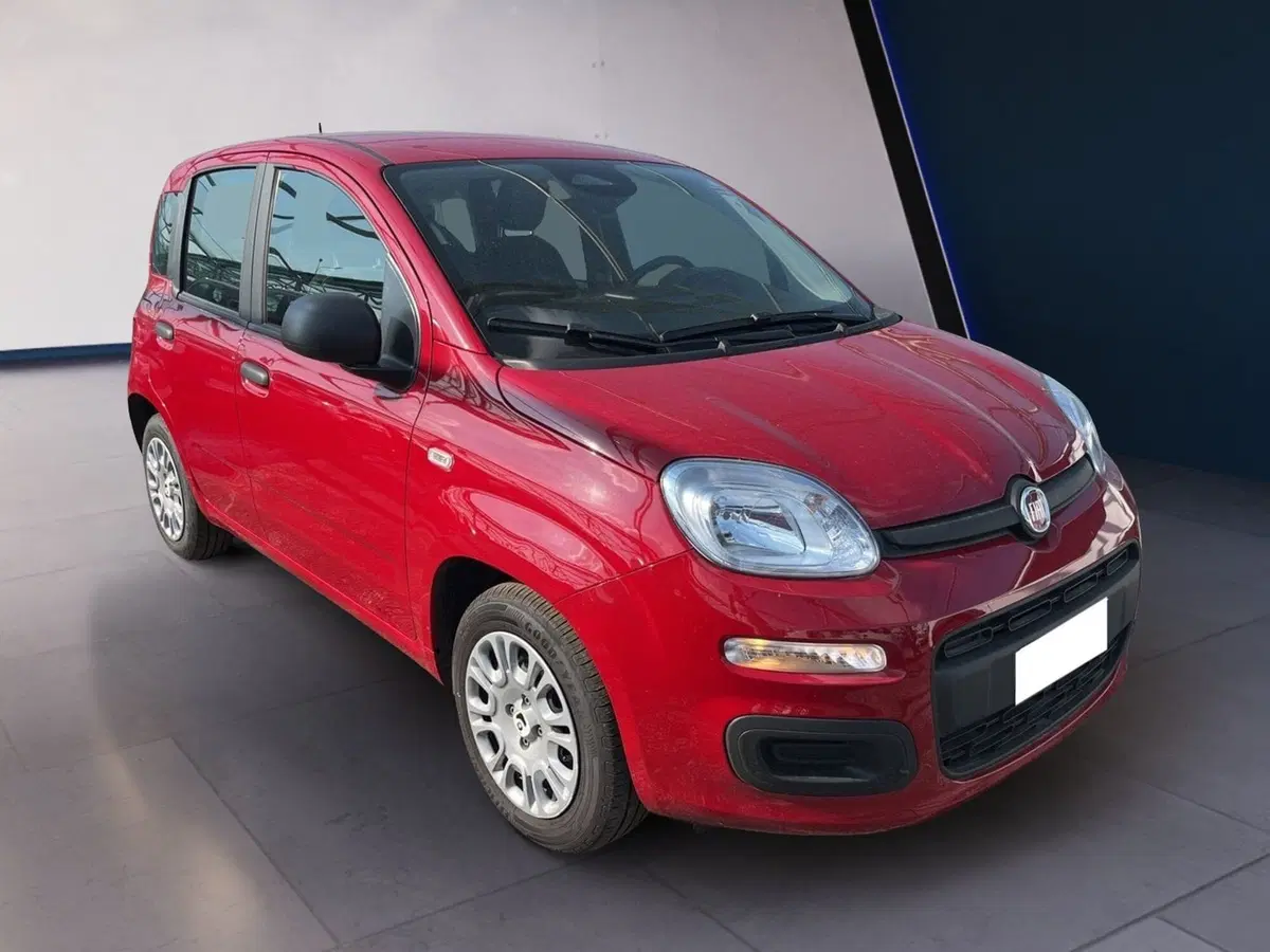 Fiat Pandina usata a Torino (3)