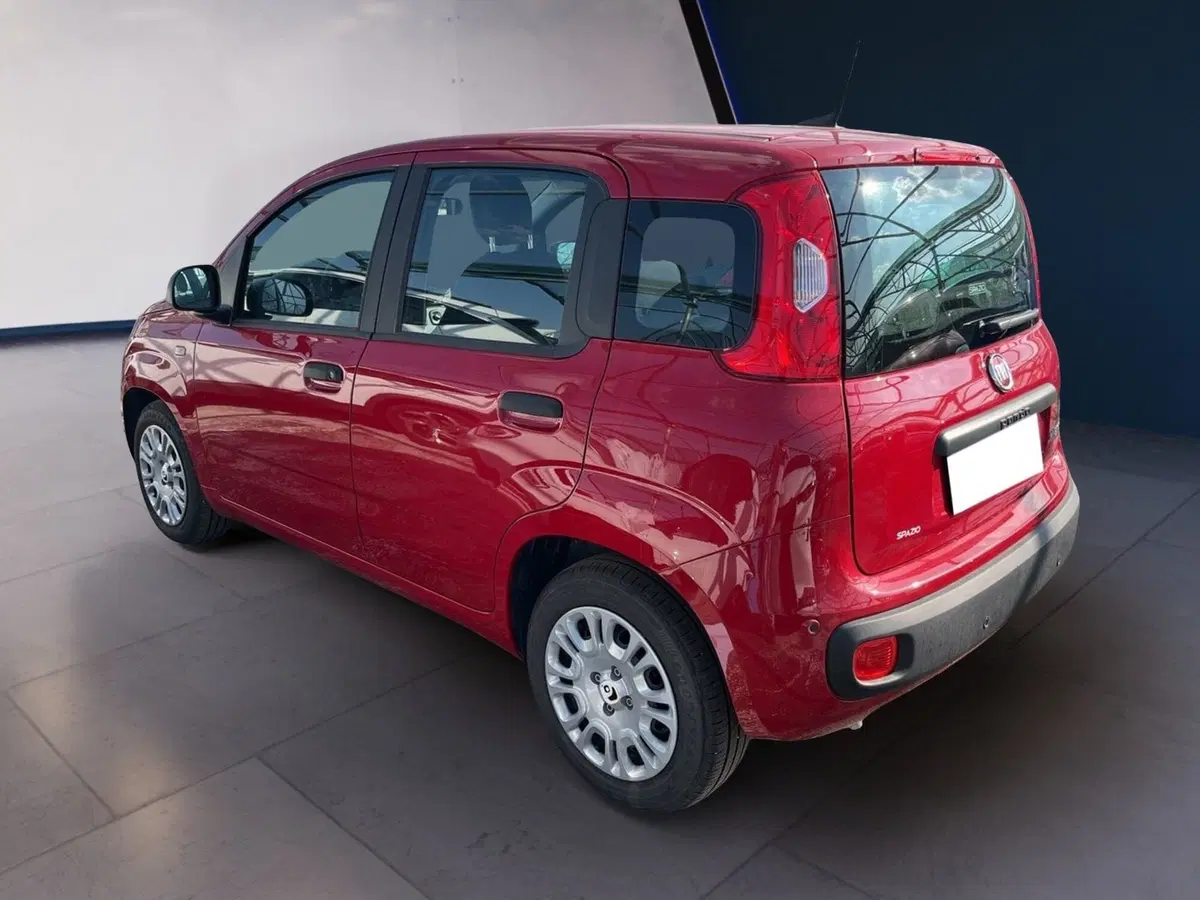 Fiat Pandina usata a Torino (6)