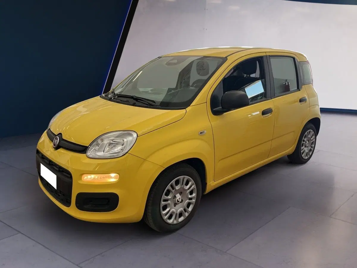 Fiat Pandina usata a Torino (2)