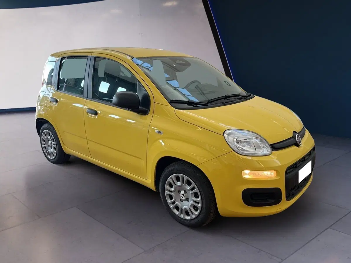 Fiat Pandina usata a Torino (3)
