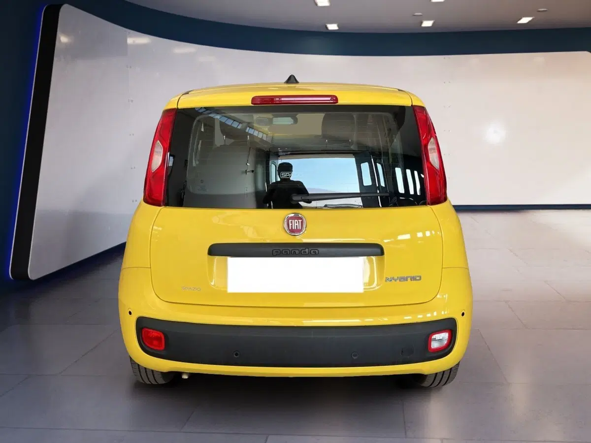Fiat Pandina usata a Torino (5)