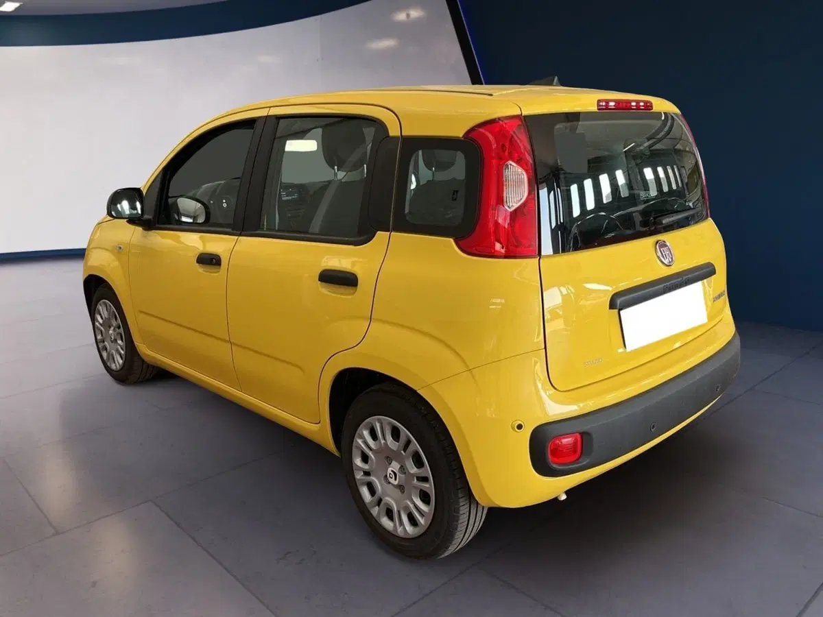 Fiat Pandina usata a Torino (6)