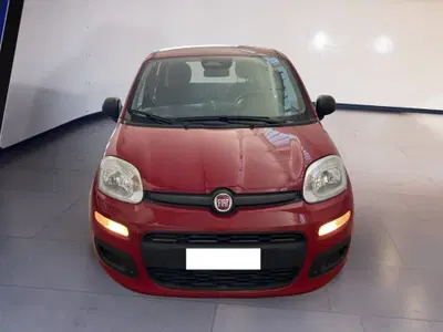 Fiat Pandina 1.0 firefly hybrid s&s 70cv del 2025 usata a Torino