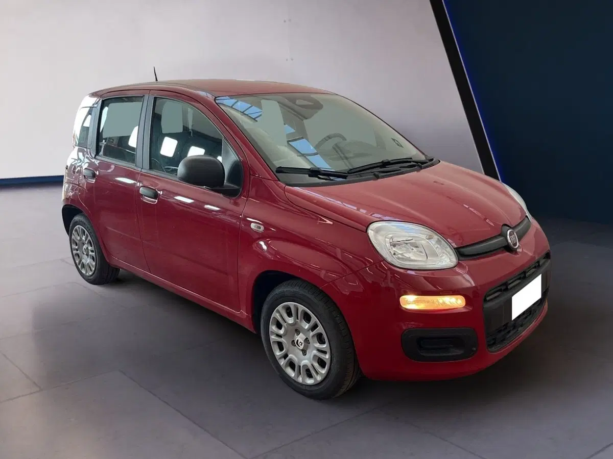 Fiat Pandina usata a Torino (2)