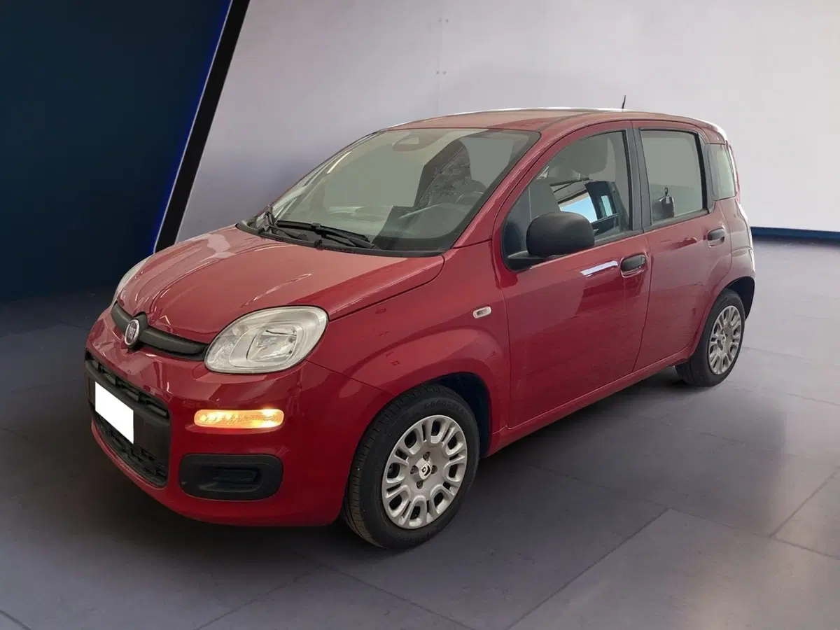 Fiat Pandina usata a Torino (3)