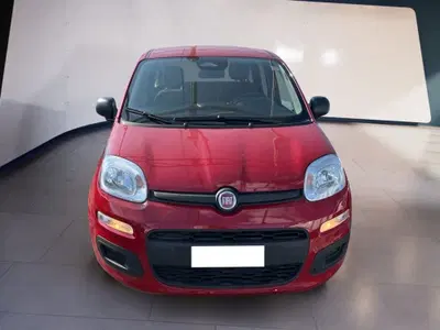 Fiat Pandina 1.0 firefly hybrid s&s 70cv del 2025 usata a Torino