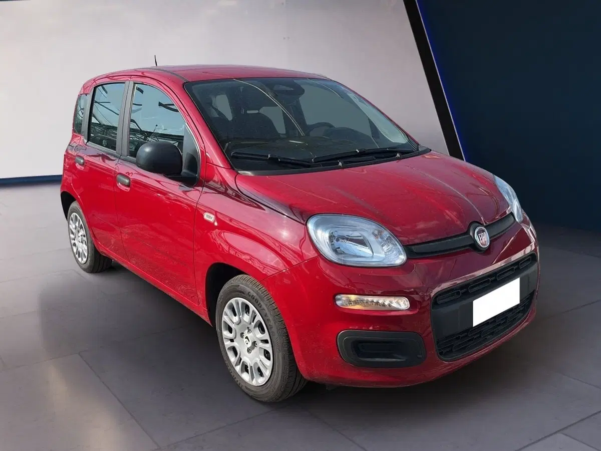 Fiat Pandina usata a Torino (2)