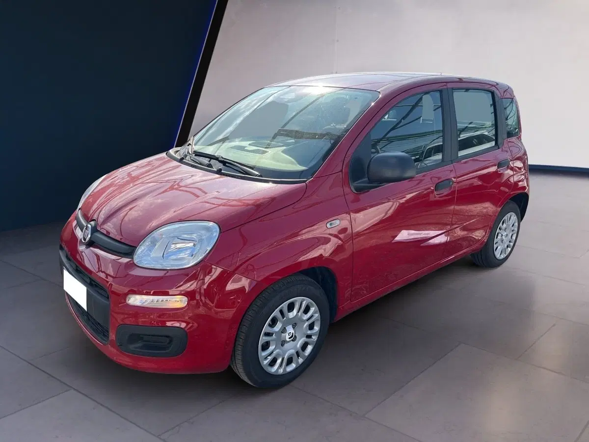Fiat Pandina usata a Torino (3)
