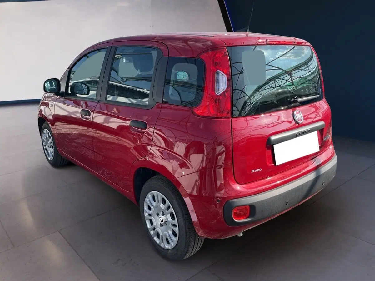 Fiat Pandina usata a Torino (4)