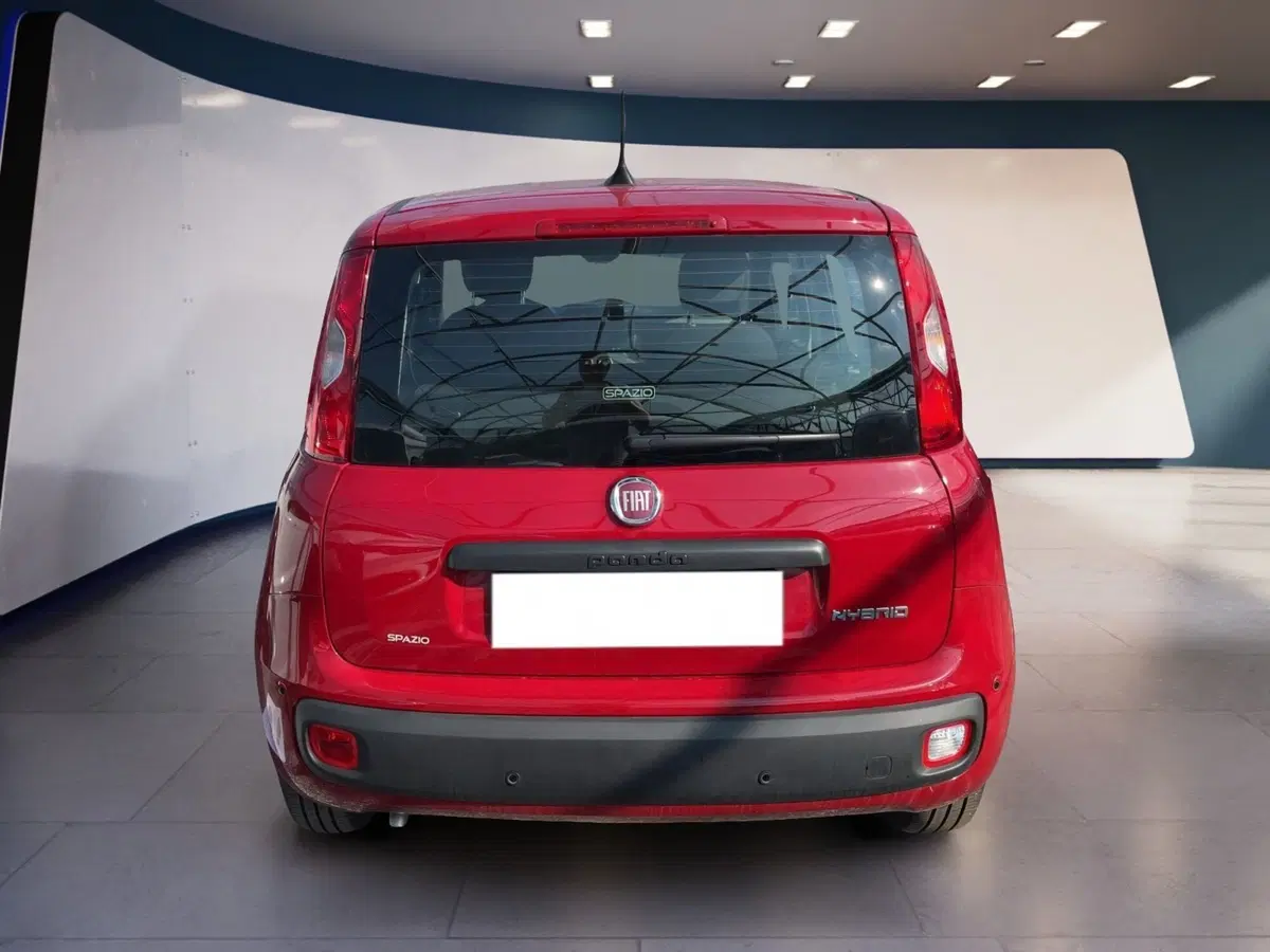 Fiat Pandina usata a Torino (5)