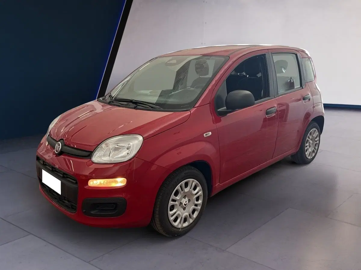 Fiat Pandina usata a Torino (2)