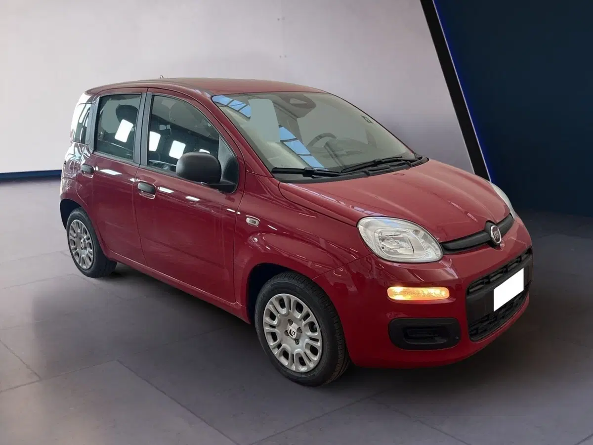 Fiat Pandina usata a Torino (3)