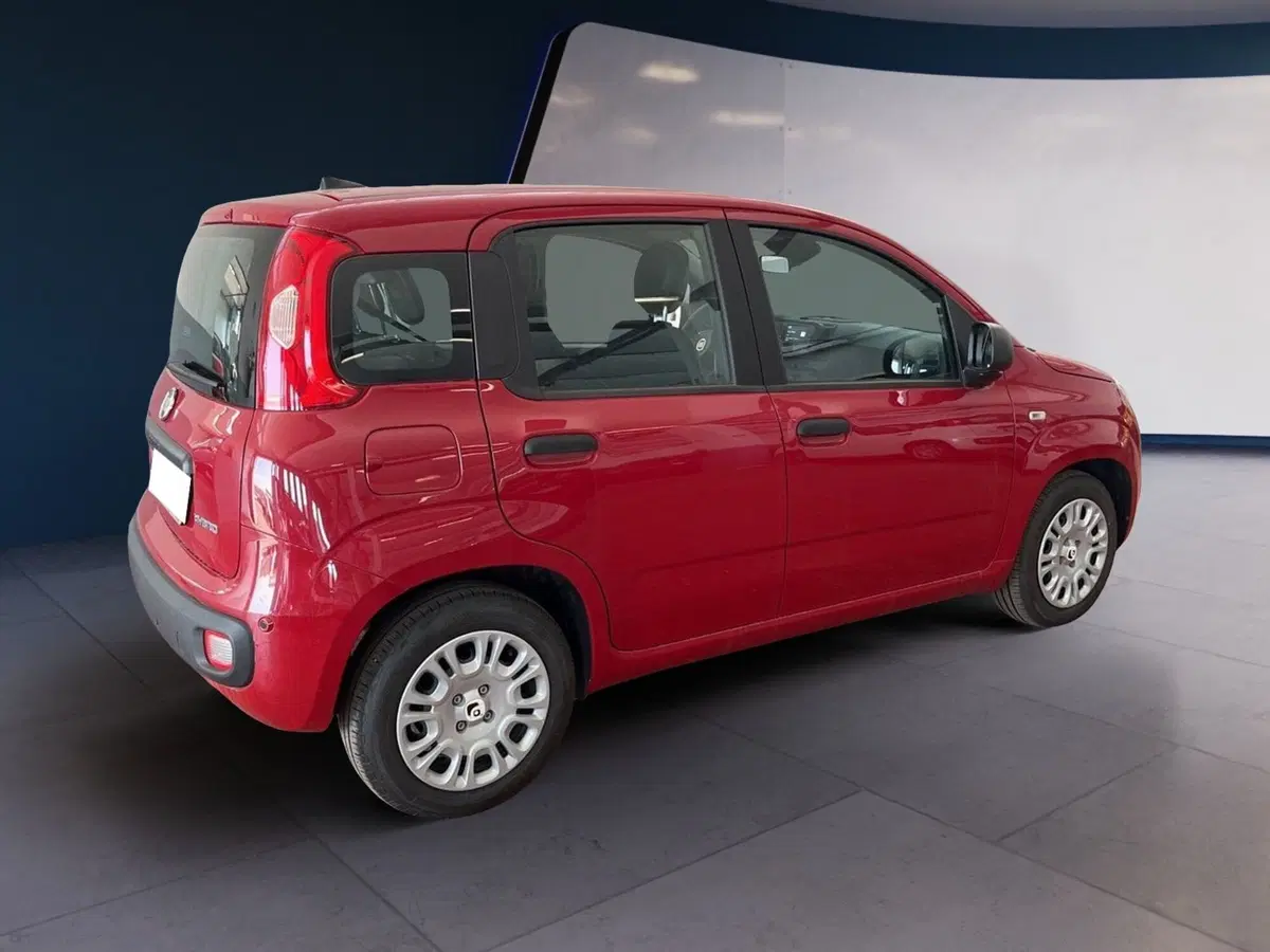 Fiat Pandina usata a Torino (4)