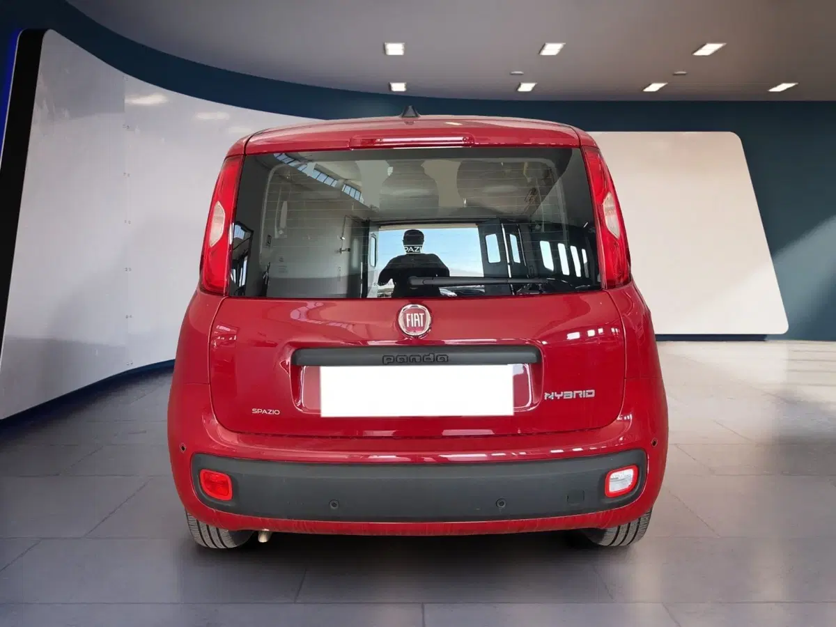 Fiat Pandina usata a Torino (5)