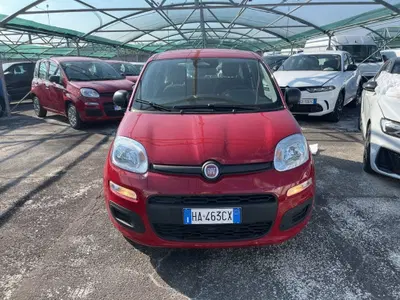 Fiat Pandina 1.0 firefly hybrid s&s 70cv del 2025 usata a Torino