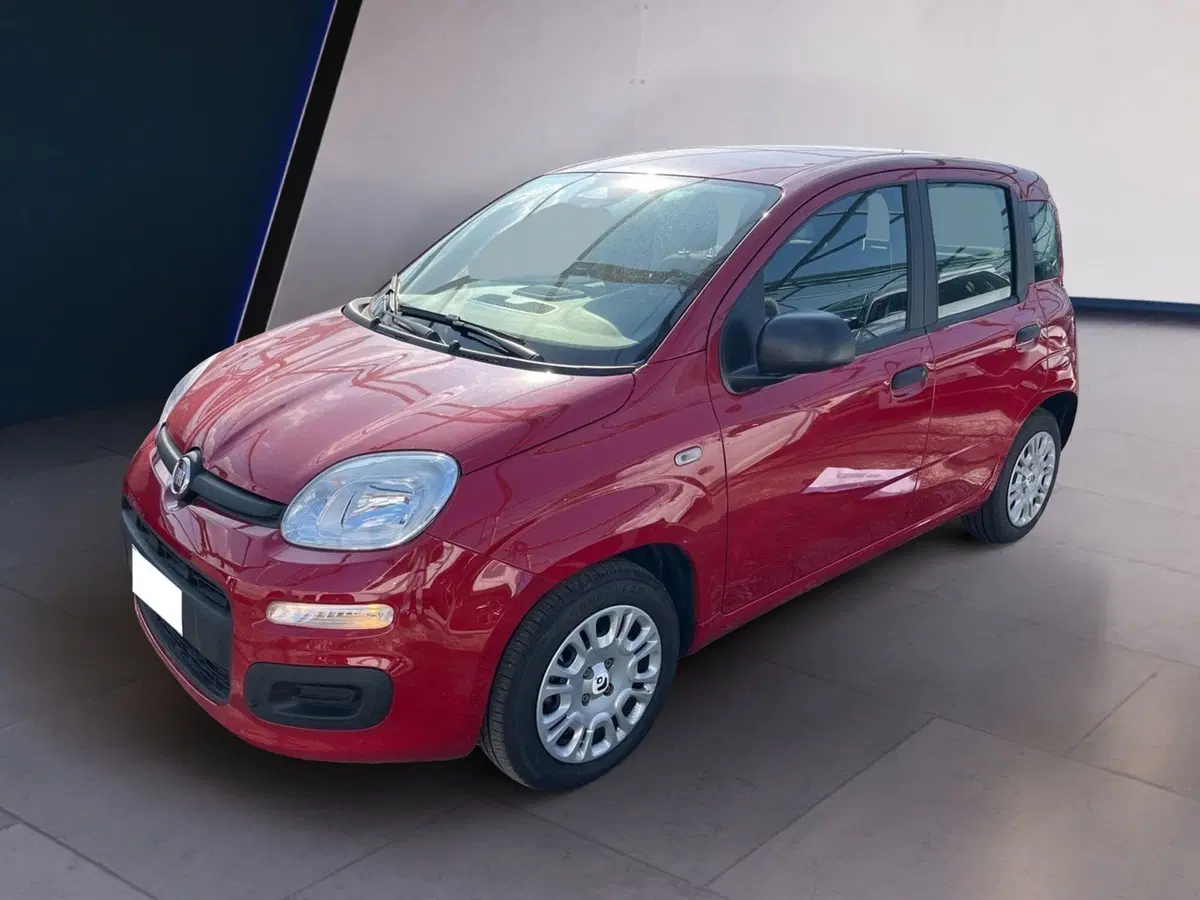 Fiat Pandina usata a Torino (2)
