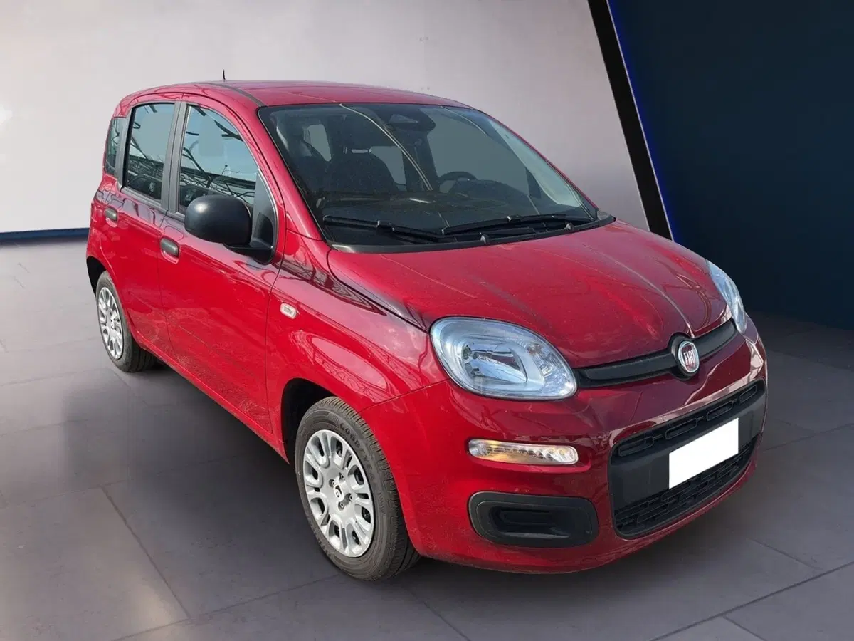 Fiat Pandina usata a Torino (3)