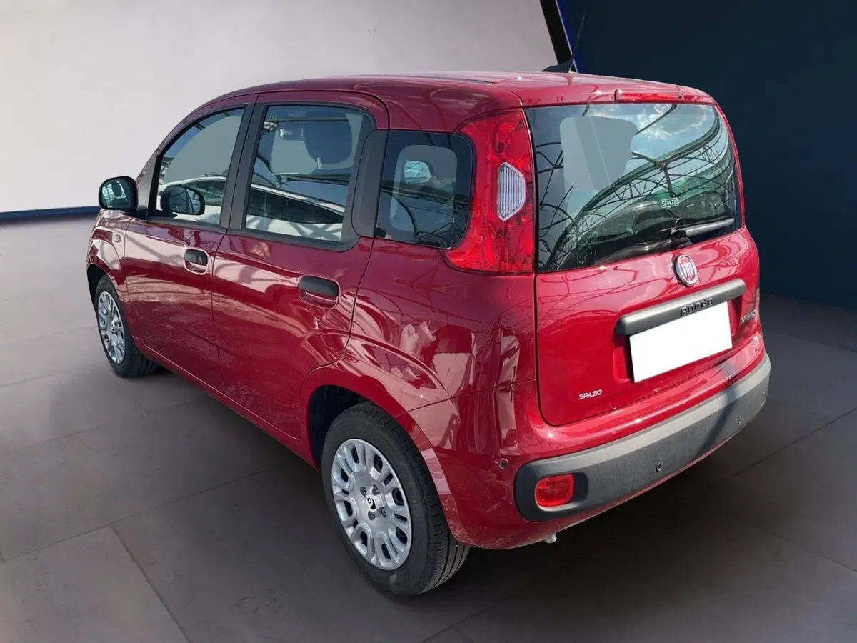 Fiat Pandina usata a Torino (6)