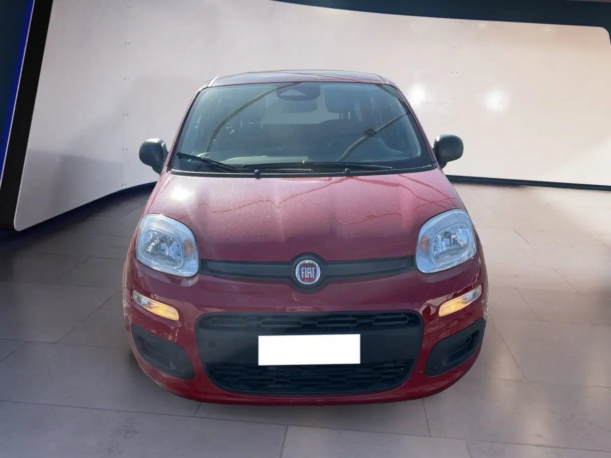 Fiat Panda Cross usata a Torino