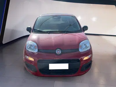 Fiat Panda Cross Cross 1.0 FireFly S&S Hybrid del 2025 usata a Torino