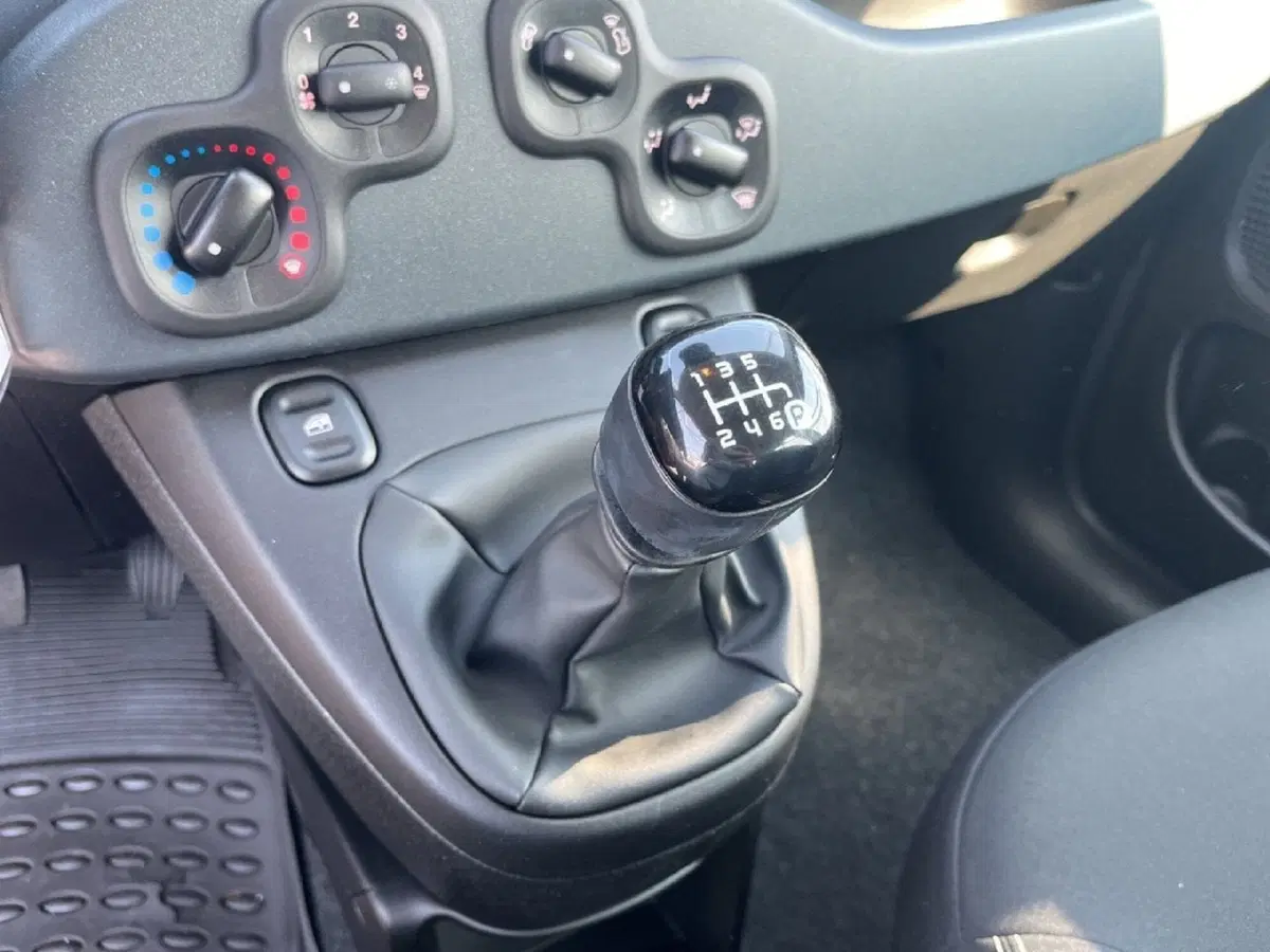 Fiat Panda Cross usata a Torino (11)