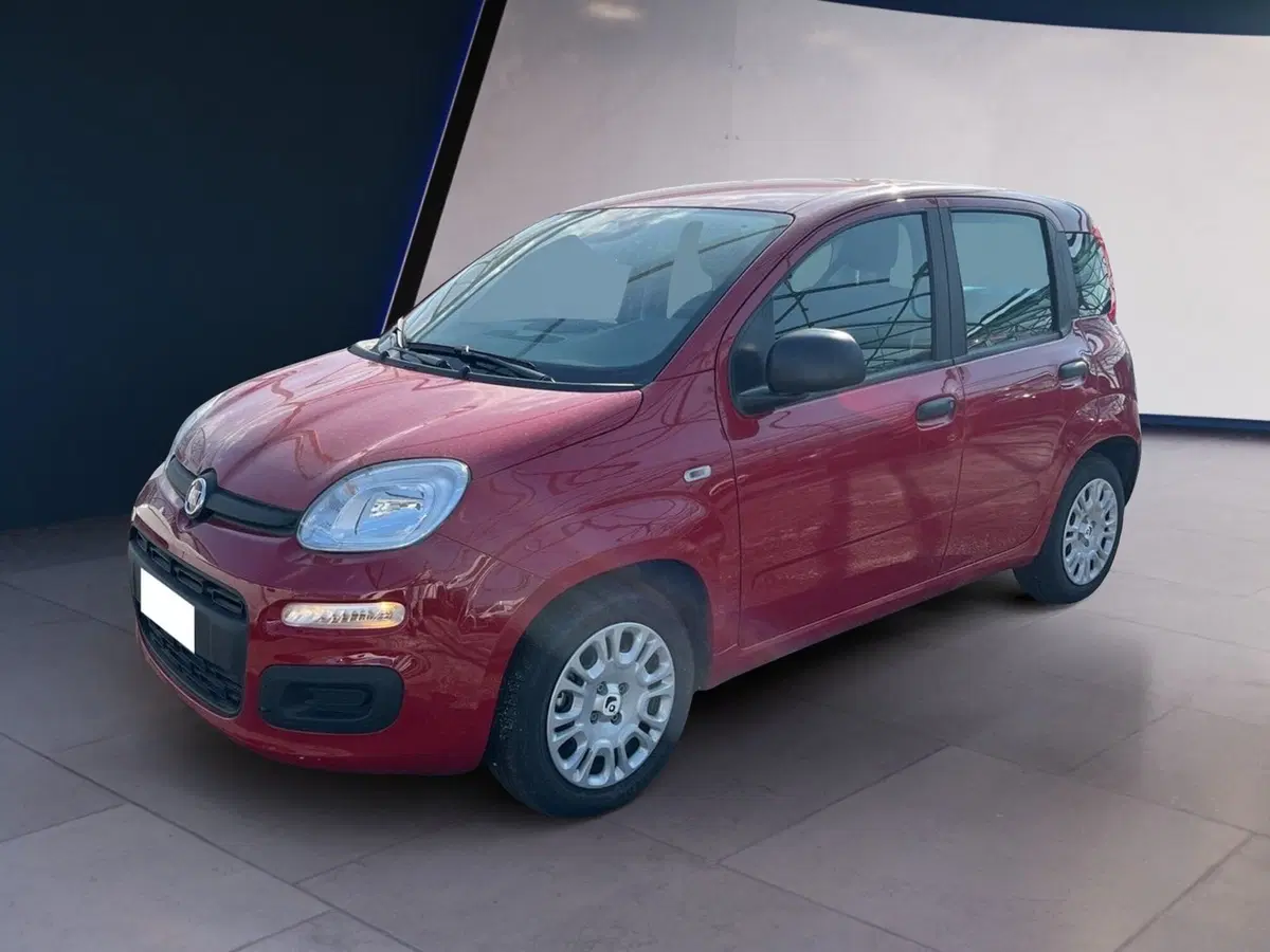 Fiat Panda Cross usata a Torino (2)
